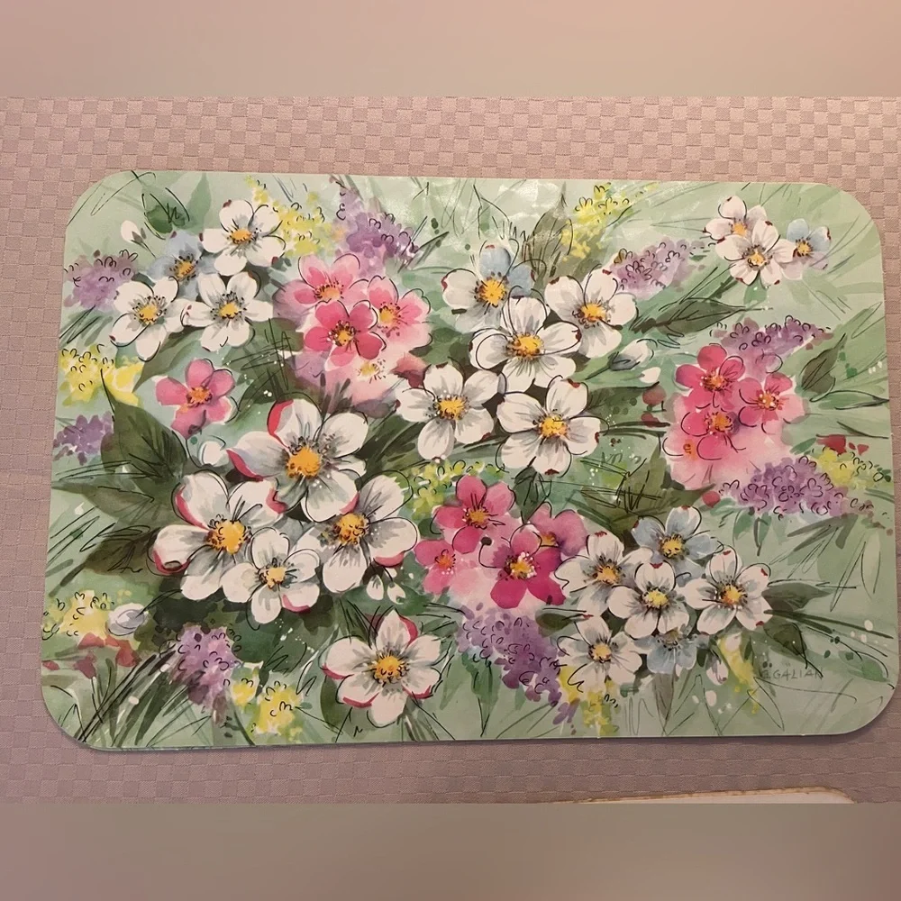 Vintage reusable country cottage/floral 15” x10” placemats by G. Galian in box.
